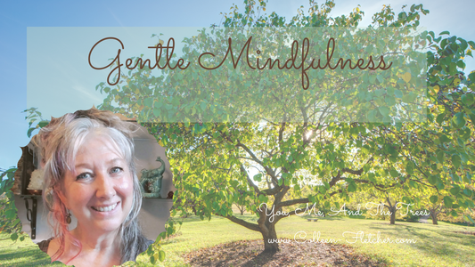 Gentle Mindfulness