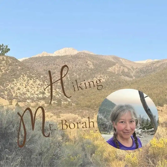What I learned while hiking Mt Borah