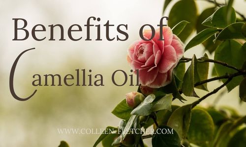 The Bountiful Benefits of Camellia Oil