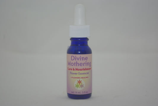 Divine Mothering